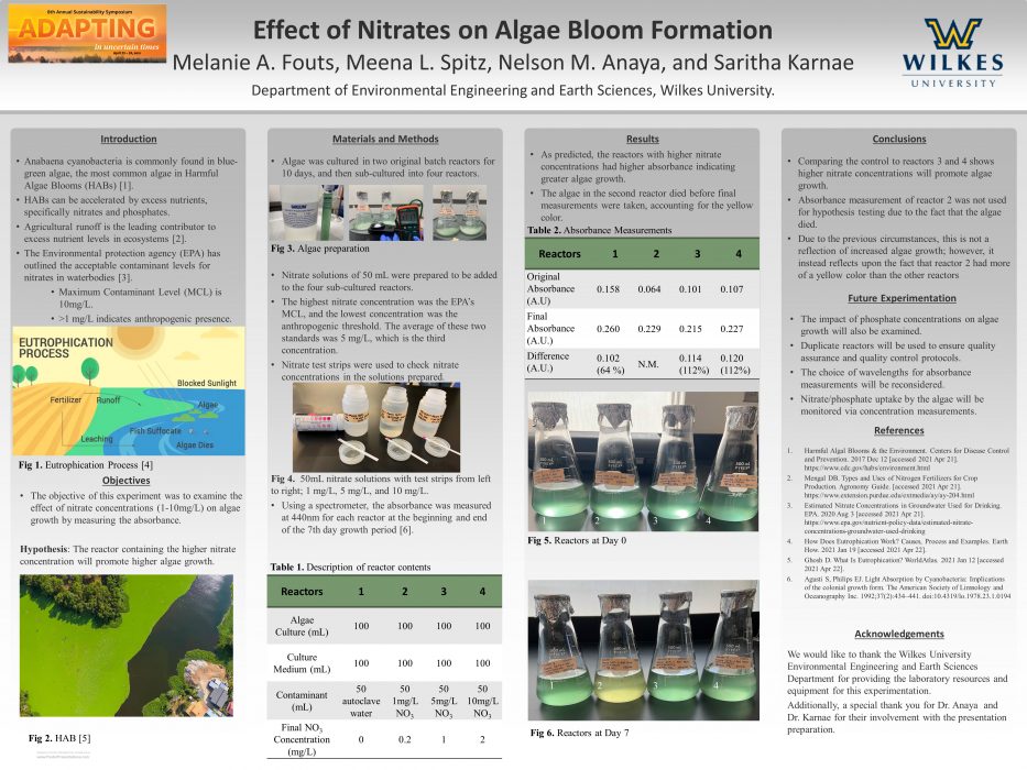 Effect of Nitrates on Algae Bloom Formation