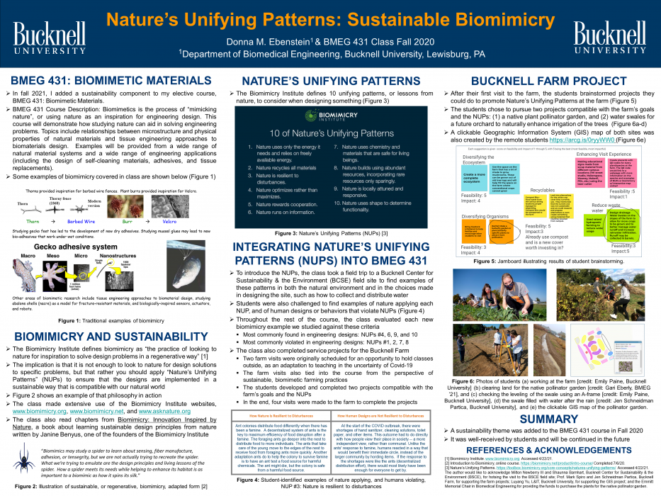 Nature’s Unifying Patterns: Sustainable Biomimicry